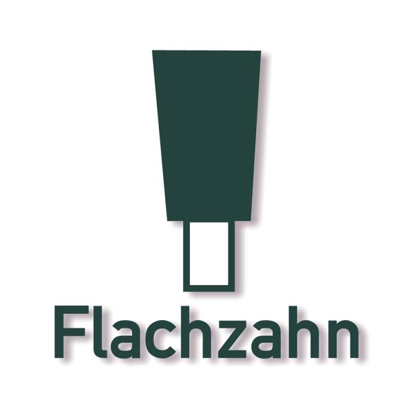 Sägeblätter mit Flachzahn  Z12 - Z24 F Ø 260-450